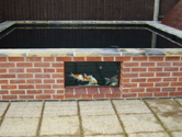 Koi Pond after being fibreglassed and filled